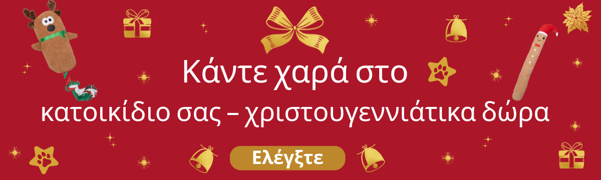 χριστουγεννιάτικα δώρα 18.11.2025