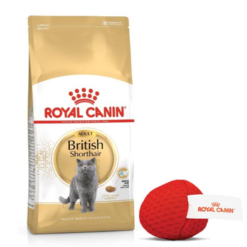 ROYAL CANIN British Shorthair Adult 10kg + Royal Canin μπάλα για γάτες