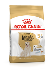 ROYAL CANIN Λαμπραντόρ Ριτρίβερ Ενηλίκων 5+ 12kg + έκπληξη δωρεάν