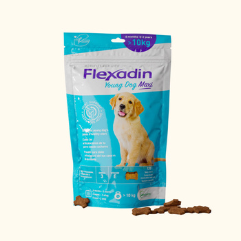 VETOQUINOL Flexadin Young Dog Maxi 60 κάψουλες