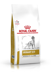 ROYAL CANIN Urinary S/O Μέτρια θερμιδική αξία 12kg