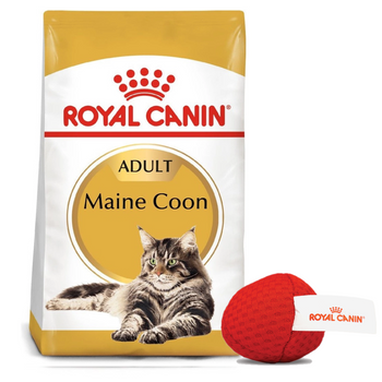 ROYAL CANIN Maine Coon Adult 10kg + Royal Canin μπάλα για γάτες