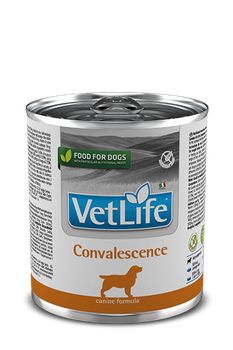 Farmina Vet Life Convalescence Dog 300g
