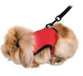 Trixie Soft Harness με λουρί