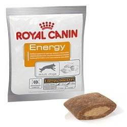 ROYAL CANIN Συμπλήρωμα διατροφής Energy 50g