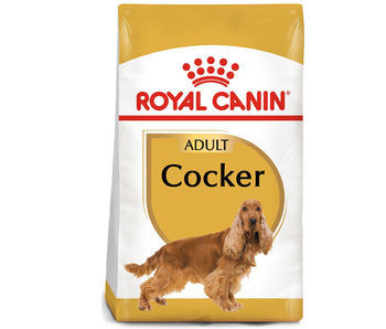 ROYAL CANIN Cocker Spaniel Adult 3kg ξηρά τροφή για ενήλικα σκυλιά cocker spaniel