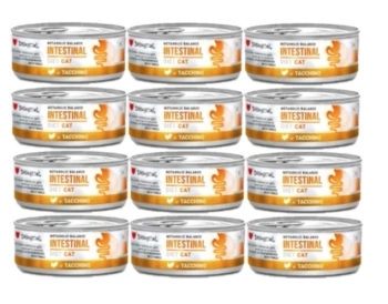 Disugual Υγρή Τροφή για Γάτες Veterinary INTESTINAL Γαλοπούλα (ενήλικη) 12x85g