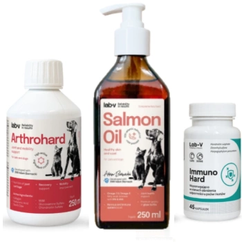 Σετ δώρου για σκύλους – Υγιείς αρθρώσεις, ανοσία και λαμπερό τρίχωμα