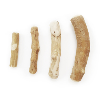 Ραβδί / Ραβδί καφεόδεντρου S, Ø 2-2.5 cm, 13-14 cm