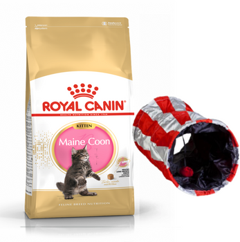 ROYAL CANIN Maine Coon Kitten 10kg