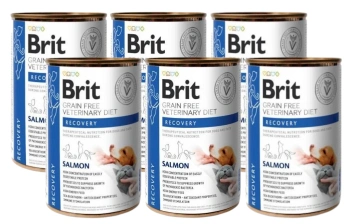 BRIT GF Veterinary Diets Recovery Salmon 6x400g - υγρή τροφή για σκύλους και γάτες