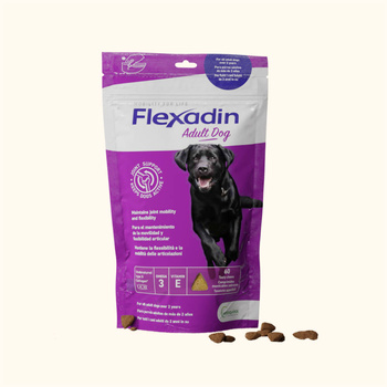 VETOQUINOL Flexadin Adult Dog 60 λαβές