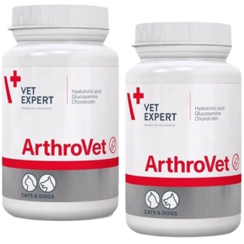 VETEXPERT Arthrovet 2x60 δισκία