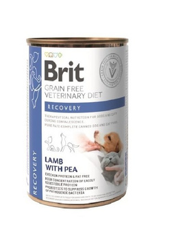 BRIT GF Veterinary Diets Recovery 400g - υγρή τροφή για σκύλους και γάτες