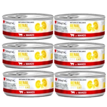 Disugual Υγρή Τροφή για Γάτες Veterinary RENAL Beef (ενήλικη) 6x85g