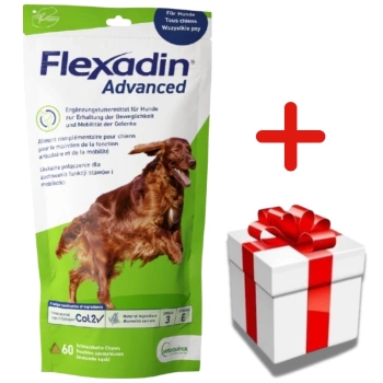 Vetoquinol Flexadin Advanced 60pcs + ΈΚΠΛΗΞΗ ΓΙΑ ΤΟ ΣΚΎΛΟ ΣΑΣ