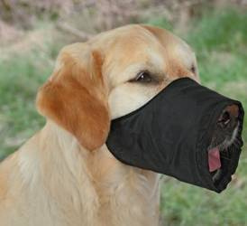 Φάκελος Trixie XS