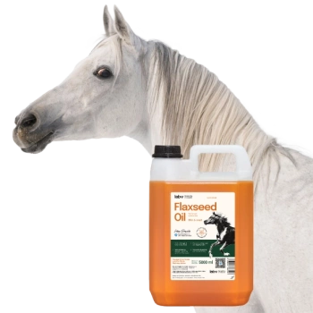 LAB-V Λινέλαιο Leinöl για άλογα, σκύλους και γάτες 5000ml