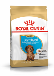 ROYAL CANIN Dachshund Puppy 1.5kg