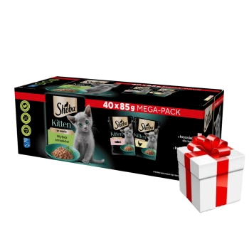 SHEBA Kitten Επιλογή γεύσεων σακουλάκια 40x85 g + ΕΚΠΛΗΞΗ ΓΙΑ ΤΗ ΓΑΤΑ