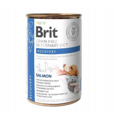BRIT GF Veterinary Diets Recovery Salmon 400g - υγρή τροφή για σκύλους και γάτες