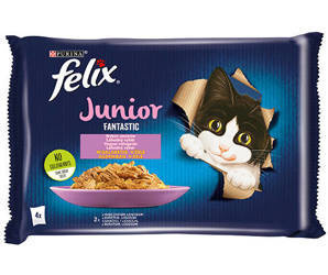 Felix Fantastic Junior ζελέ με κοτόπουλο και σολομό 4x85g