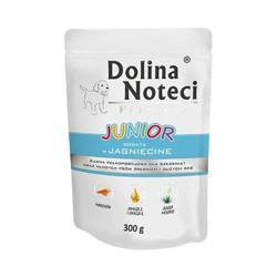 Dolina Noteci Premium Junior πλούσιο σε αρνί 10x300g