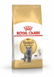 ROYAL CANIN British Shorthair Adult 4kg + έκπληξη δωρεάν