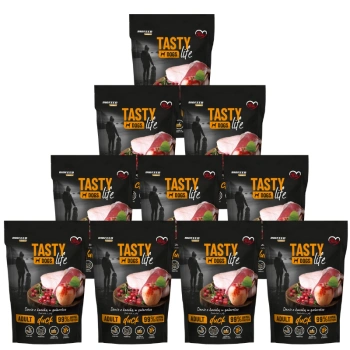 Πάπια Tasty Dogs Life σε ζελέ 10x150g