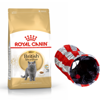ROYAL CANIN British Shorthair Adult 10kg