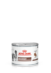 ROYAL CANIN Recovery 12x195g