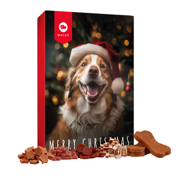 MACED- Ημερολόγιο Advent