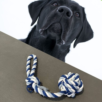 Σκύλος ρυμουλκό 33cm