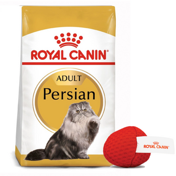 ROYAL CANIN Persian Adult 10kg ξηρά τροφή για γάτες Περσίας + Royal Canin μπάλα για γάτες