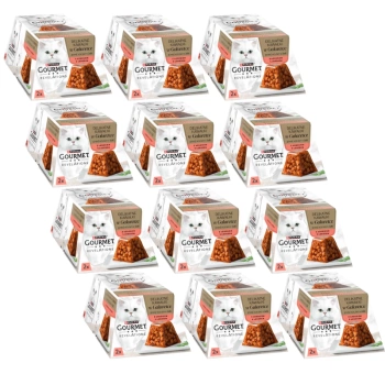 GOURMET Revelations Λεπτά κομμάτια σε ζελέ σολομού 12x(2x57g)