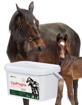 Lab-v EquiPregna - Συμπληρωματική τροφή για έγκυες και θηλάζουσες φοράδες για την υποστήριξη της εγκυμοσύνης, της ανάπτυξης του εμβρύου και της παραγωγής γάλακτος 2kg