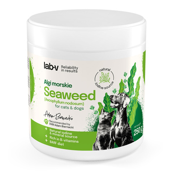 Lab-v Θαλάσσια Φύκια – μια φυσική πηγή ιωδίου και μετάλλων για σκύλους και γάτες 400 g