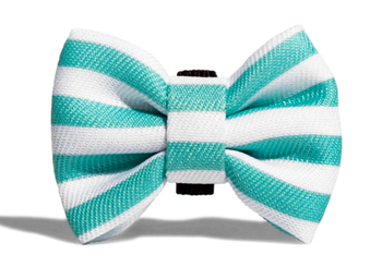 ZEE DOG Σκύλος Florida Dog Muscle S