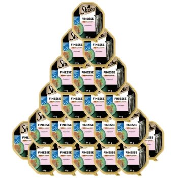 SHEBA Finesse tray 22x85 g - υγρή πλήρης τροφή για ενήλικες γάτες, με σολομό, σε πατέ