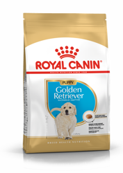 ROYAL CANIN Golden Retriever Puppy 12kg + έκπληξη δωρεάν