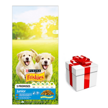 PURINA Friskies Junior 15kg + ΈΚΠΛΗΞΗ ΓΙΑ ΤΟ ΣΚΎΛΟ ΣΑΣ
