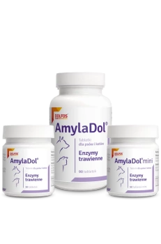 Dolfos AmylaDol 90 δισκία