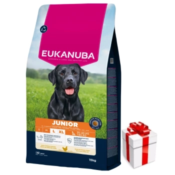 EUKANUBA Junior Large 15kg + δωρεάν έκπληξη για το σκύλο σας