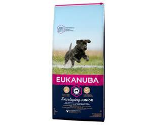 Eukanuba Junior Large 2x15kg