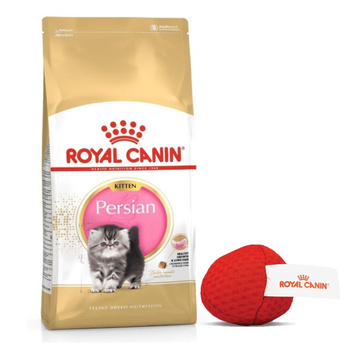 ROYAL CANIN Περσικό γατάκι 10kg + Royal Canin μπάλα για γάτες