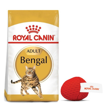 ROYAL CANIN Bengal Adult 10kg ξηρά τροφή για γάτες Βεγγάλης + Royal Canin μπάλα για γάτες