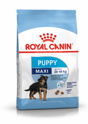 ROYAL CANIN Maxi Puppy 4kg + ΈΚΠΛΗΞΗ ΓΙΑ ΤΟ ΣΚΎΛΟ ΣΑΣ