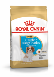 ROYAL CANIN Cavalier King Charles Spaniel Puppy 1.5kg