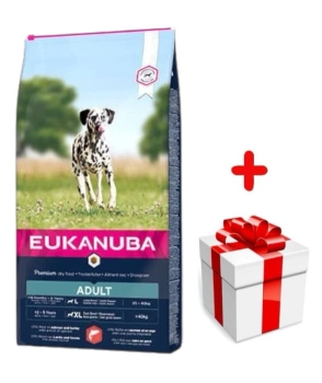 Eukanuba Adult Large Σολομός & Κριθάρι 12kg