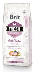 Brit Fresh Chicken & Potato Puppy Healthy Growth 12kg + Δωρεάν έκπληξη!